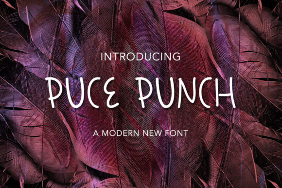 How Puce Punch Elevates Your Brand's Visual Storytelling