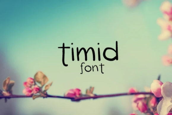Timid Font for Campaign Clarity and Style